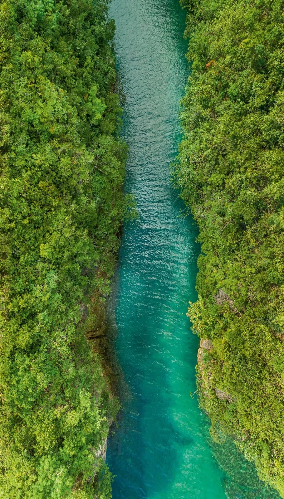 Digitaldruck Landschaft Fluss Blau Grün ML1401 4 Digitaldruck Landschaft Fluss Blau Grün ML1401 – Bild 2