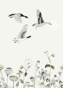 Fototapete Natur Blumen Creme Schwarz Onszelf 532005 -Orex Verkäufe Fototapete Natur Blumen creme schwarz Onszelf 5320