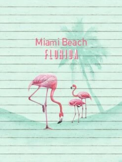 Fototapete Vlies Flamingo Miami Beach Florida 225x300cm