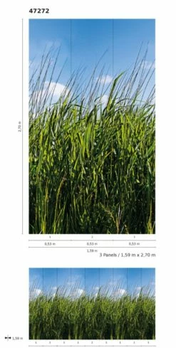 Fototapete Vlies Grashalme Wiese Floral Grün Blau 47272 7 Fototapete Vlies Grashalme Wiese Floral Grün Blau 47272 -Orex Verkäufe Fototapete Vlies Grashalme Wiese Floral gruen blau 47272 63210723 2