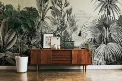 Fototapeten Dschungel Pflanzen Sumpf Schwarz 38235-1