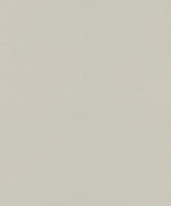 Rasch Vlies Tapete Glitter Greige Silber Glitzer 523188