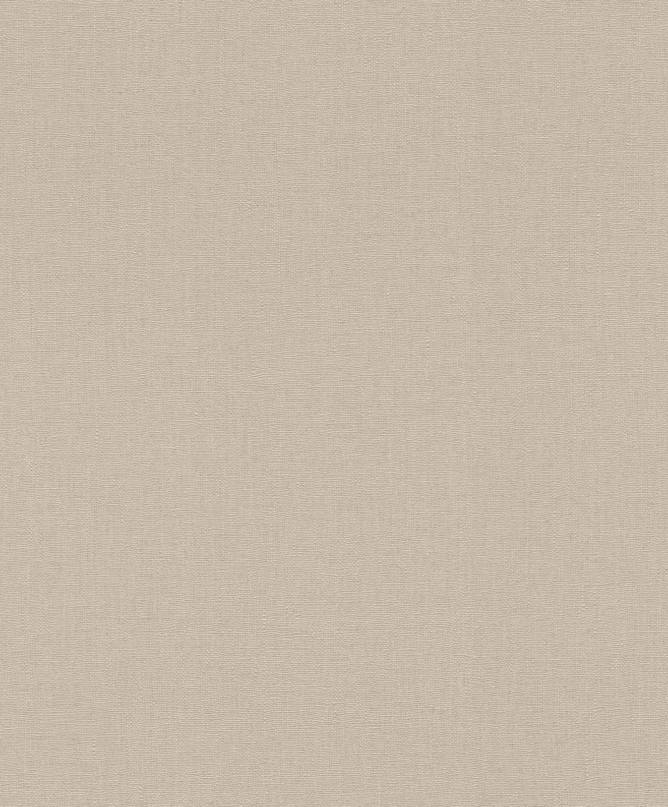 Tapete Barbara Home Collection Einfarbig Beige-Grau 5 Tapete Barbara Home Collection Einfarbig Beige-Grau – Bild 3