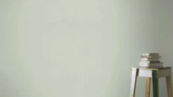 Tapete Barbara Home Collection Einfarbig Hellgrün