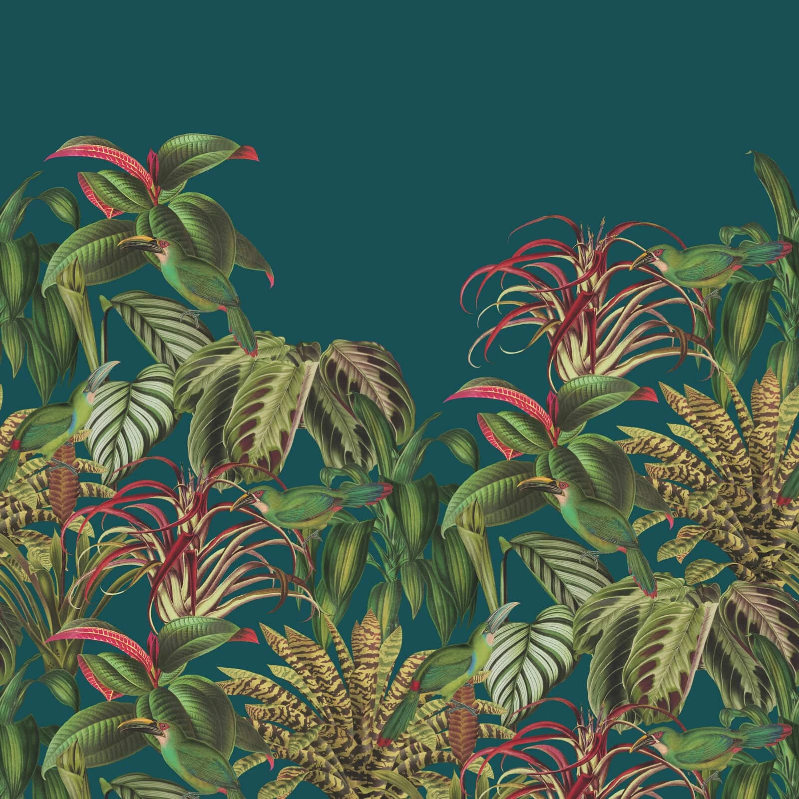 Fototapete Barbara Home Collection Vögel Dschungel 3 Fototapete Barbara Home Collection Vögel Dschungel