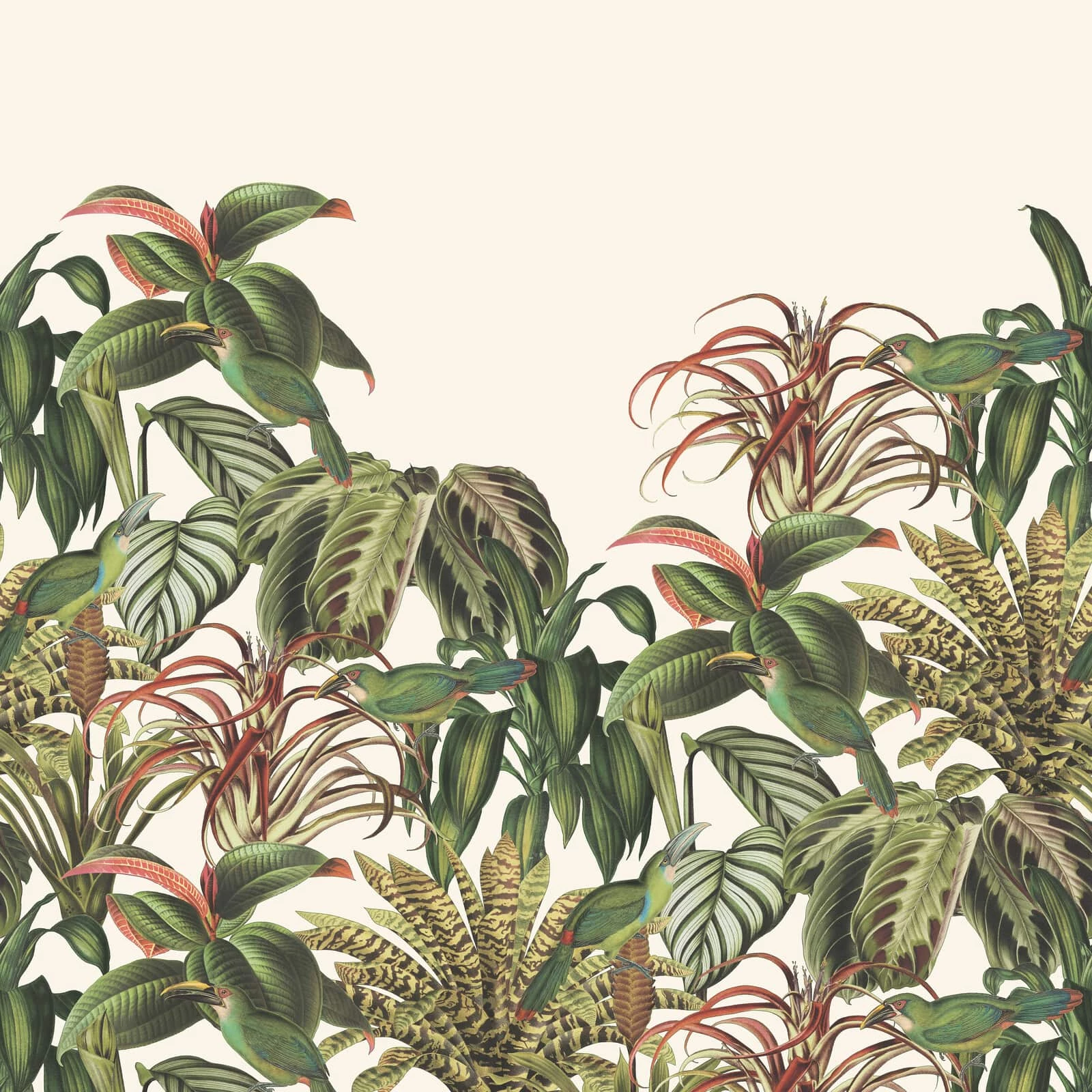 Fototapete Barbara Home Collection Vögel Dschungel Weiss 3 Fototapete Barbara Home Collection Vögel Dschungel Weiss