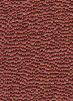 Tapete Vlies 10129-06 Federn 3D Rot 10 Tapete Vlies 10129-06 Federn 3D Rot -Orex Verkäufe Tapete Vlies 10129 06 Federn 3D rot 63205519