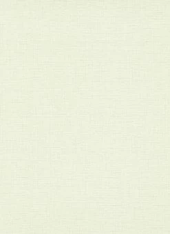 Tapete Vlies 10140-01 Einfarbig Weiß Grau -Orex Verkäufe Tapete Vlies 10140 01 Einfarbig pastellgruen 63205524