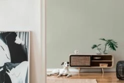 Tapete Vlies 37527-3 Meliert Einfarbig Greige Weiß 12 Tapete Vlies 37527-3 Meliert Einfarbig Greige Weiß -Orex Verkäufe Tapete Vlies 37527 3 meliert Einfarbig greige weiss 63206051