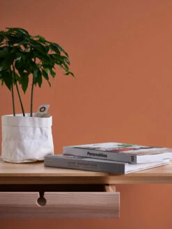 Tapete Vlies Michalsky Einfarbig Struktur Orange 37986-8 -Orex Verkäufe Tapete Vlies Michalsky Einfarbig Struktur orange 37986 8 63208885 1