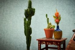 Tapete Vlies Struktur Einfarbig Pastelltürkis 37423-3 -Orex Verkäufe Tapete Vlies Struktur Einfarbig pastelltuerkis 37423 3 63202527