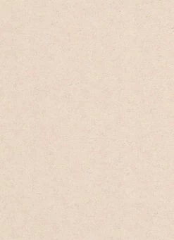 Vlies Tapete Struktur Uni Design Beige Erismann 5415-14