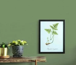 Vliestapete Uni Grün Erismann 10262-07 Casual Chic