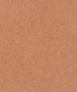 Vliestapete Putz Optik Beton Terra 520880 Rasch