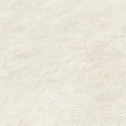 Vliestapete Putzoptik Einfarbig Weiß Beige 38922-4